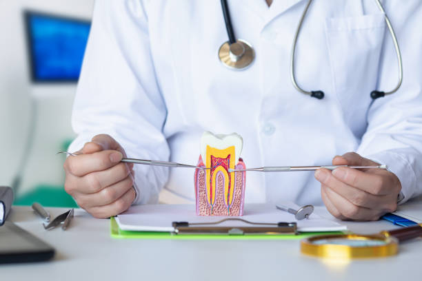 Best Emergency Tooth Extraction  in Pearl Beach, MI